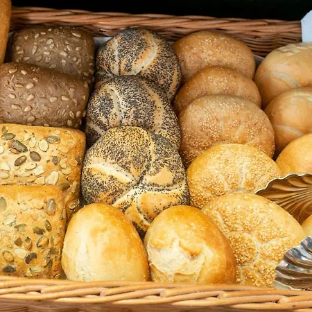 Am Stadtgarten 호텔